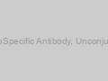 OLIG2  MonoSpecific Antibody, Unconjugated-100ug